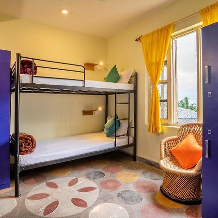 Gostops Palampur - Rooms & Dorms Екстериор снимка